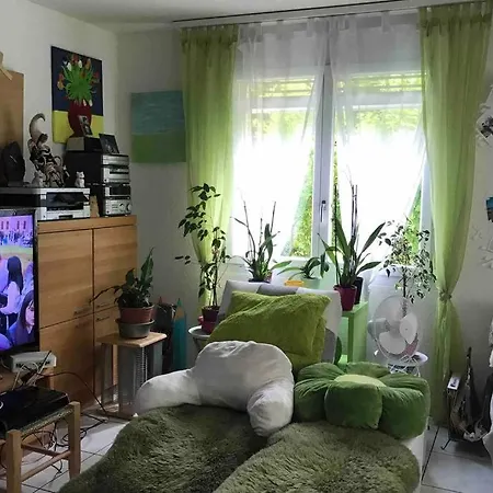 Ganzes Haus Im Thal /Buriet Zu Vermieten Apartment