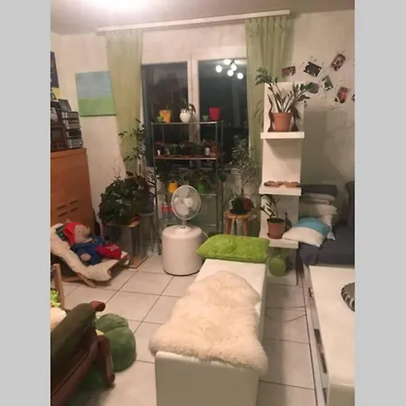 Apartment Ganzes Haus Im Thal /Buriet Zu Vermieten Thal