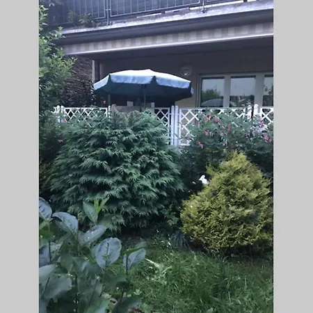 Apartment Ganzes Haus Im Thal /Buriet Zu Vermieten *