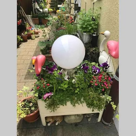 Ganzes Haus Im Thal /Buriet Zu Vermieten Thal