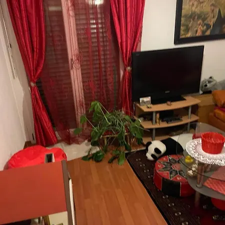 Ganzes Haus Im Thal /Buriet Zu Vermieten Apartment Thal