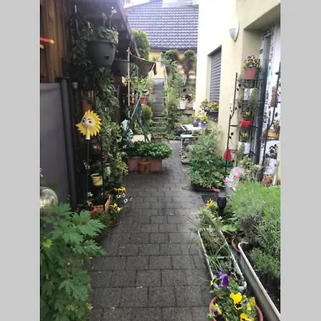 Ganzes Haus Im Thal /Buriet Zu Vermieten