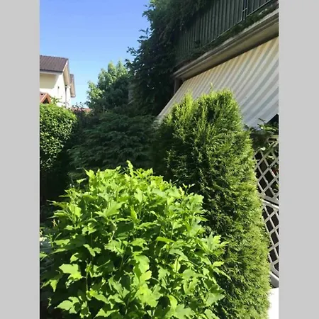 Ganzes Haus Im Thal /Buriet Zu Vermieten *